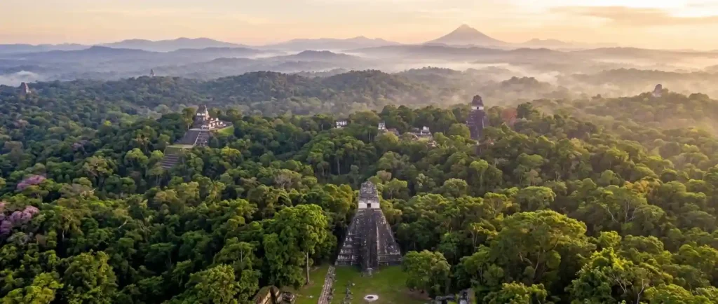 The Maya Forest Is Bigger Than Tikal